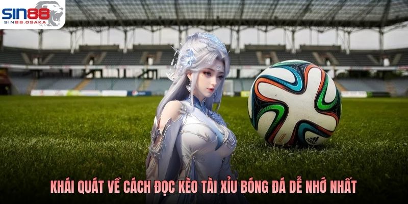 Cách Đọc Kèo Tài Xỉu Trong Bóng Đá Hiểu Đúng Phân Tích Chuẩn 2 Khái quát về Cách đọc kèo tài xỉu bóng đá dễ nhớ nhất