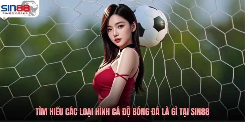 Tìm hiểu các loại hình cá độ bóng đá là gì tại SIN88